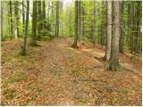 Idrija - Hleviška planina